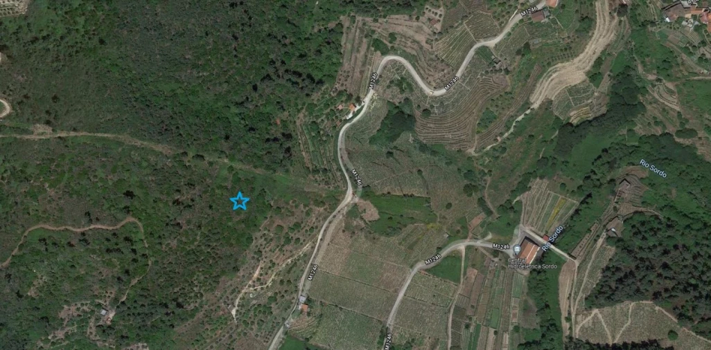 Terreno Agricola ou Rústico para Venda em Abaças