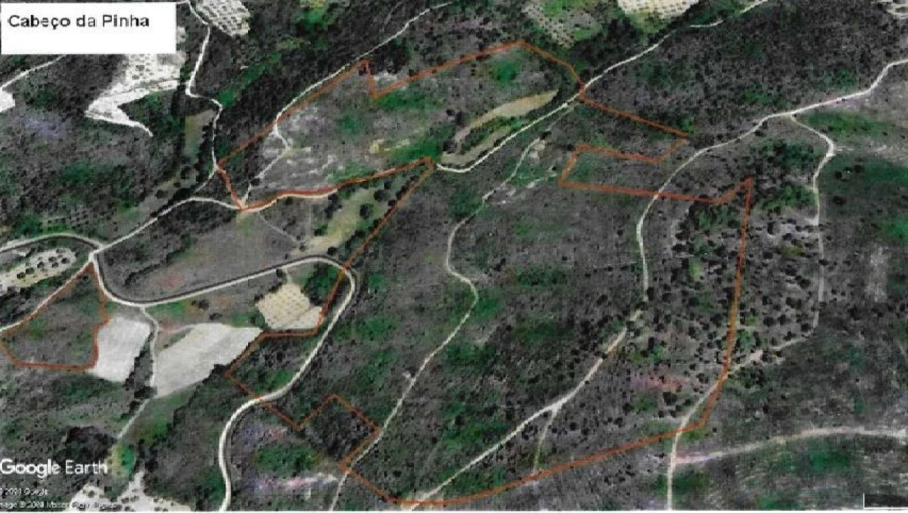 Terreno Agricola ou Rústico para Venda em Macedo de Cavaleiros Foto 2