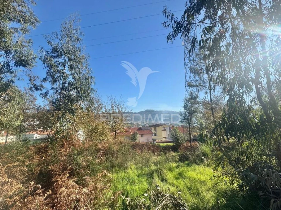 Terreno para Venda em Prazins (Santa Eufemia) Foto 2