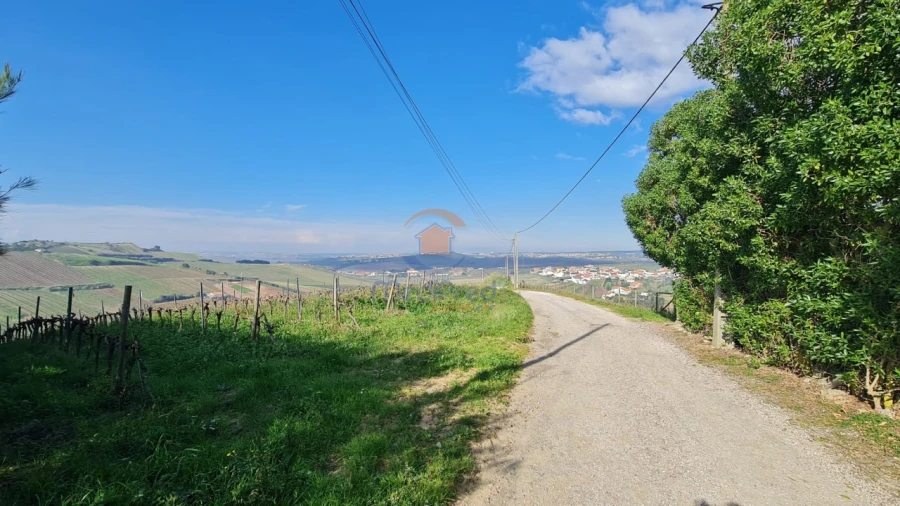 Moradia T2 para Venda em Ventosa Foto 8