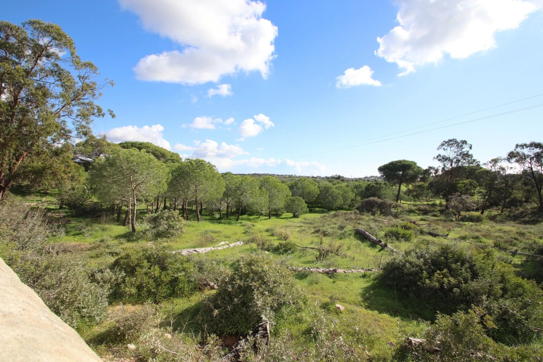 Quinta para Venda em Lagoa e Carvoeiro Foto 5