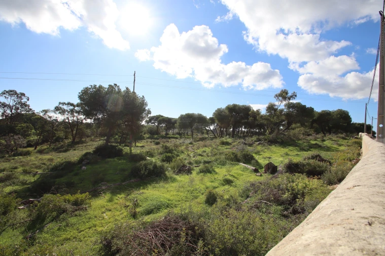 Quinta para Venda em Lagoa e Carvoeiro Foto 6