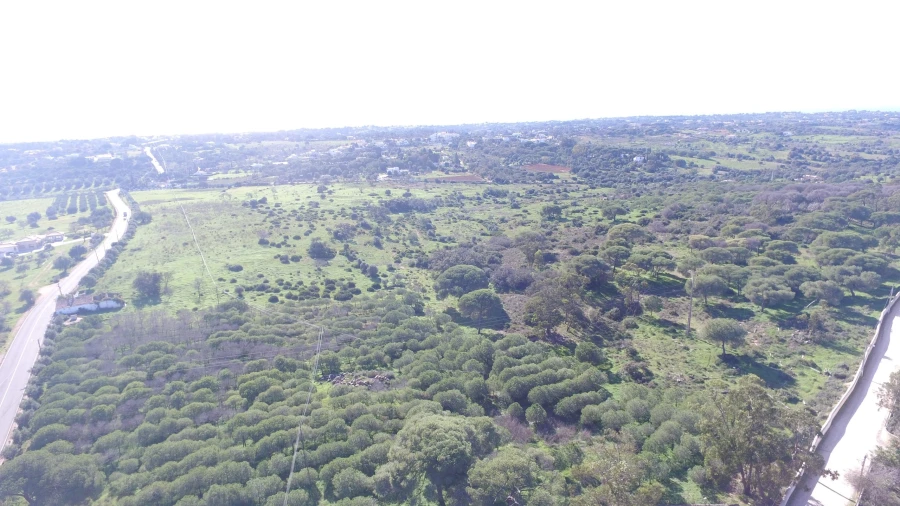 Quinta para Venda em Lagoa e Carvoeiro Foto 2