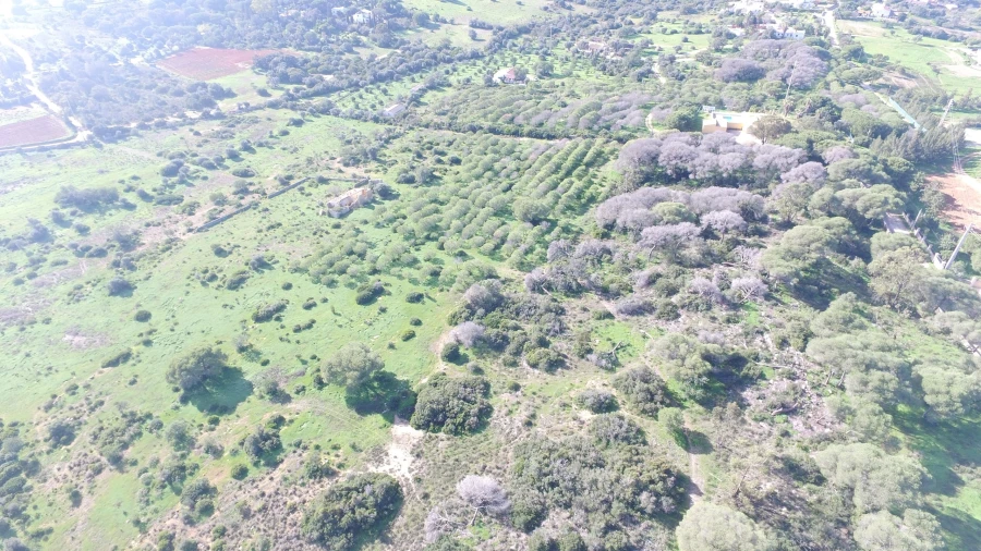 Quinta para Venda em Lagoa e Carvoeiro Foto 3