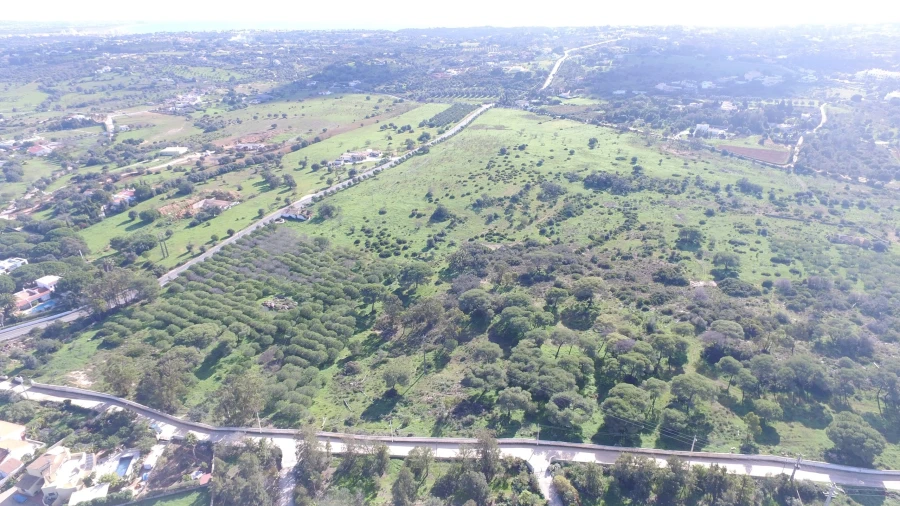 Quinta para Venda em Lagoa e Carvoeiro Foto 4