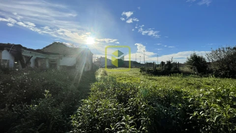 Terreno para Venda em Cacia