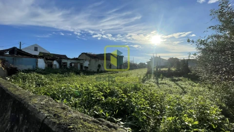Terreno para Venda em Cacia