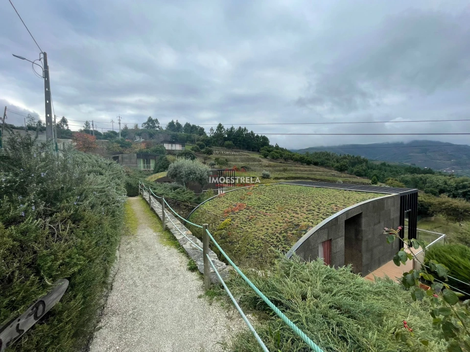 Quinta T10 para Venda em Sandomil Foto 6