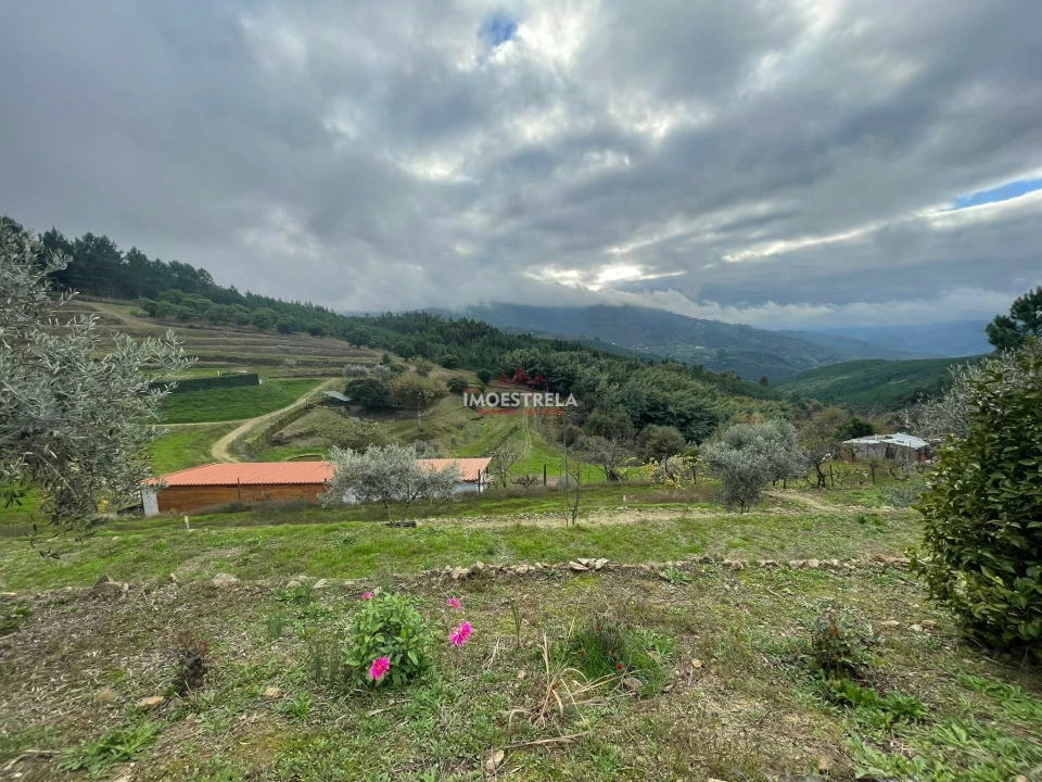 Quinta T10 para Venda em Sandomil Foto 15