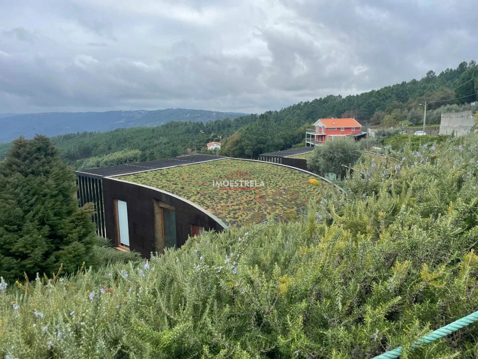 Quinta T10 para Venda em Sandomil Foto 4