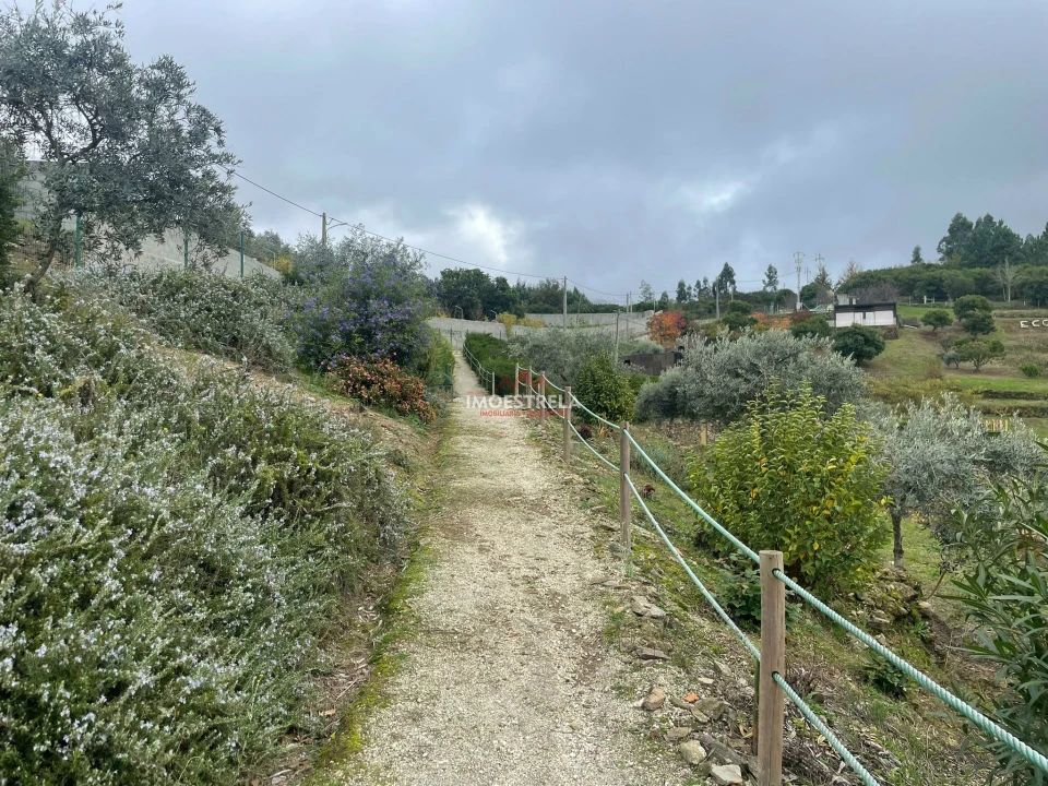 Quinta T10 para Venda em Sandomil Foto 12