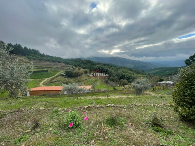 Quinta T10 para Venda em Sandomil Foto 15