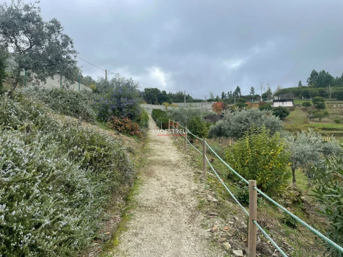 Quinta T10 para Venda em Sandomil Foto 12