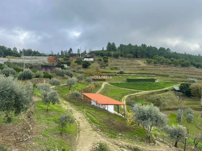 Quinta T10 para Venda em Sandomil Foto 11
