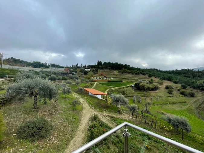 Quinta T10 para Venda em Sandomil Foto 8