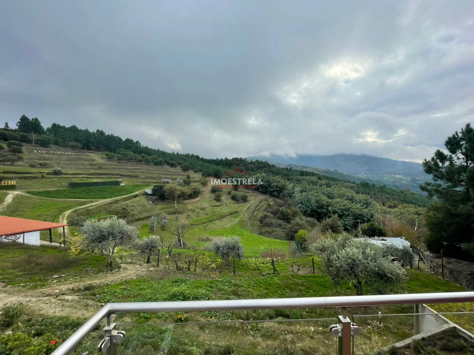 Quinta T10 para Venda em Sandomil Foto 10