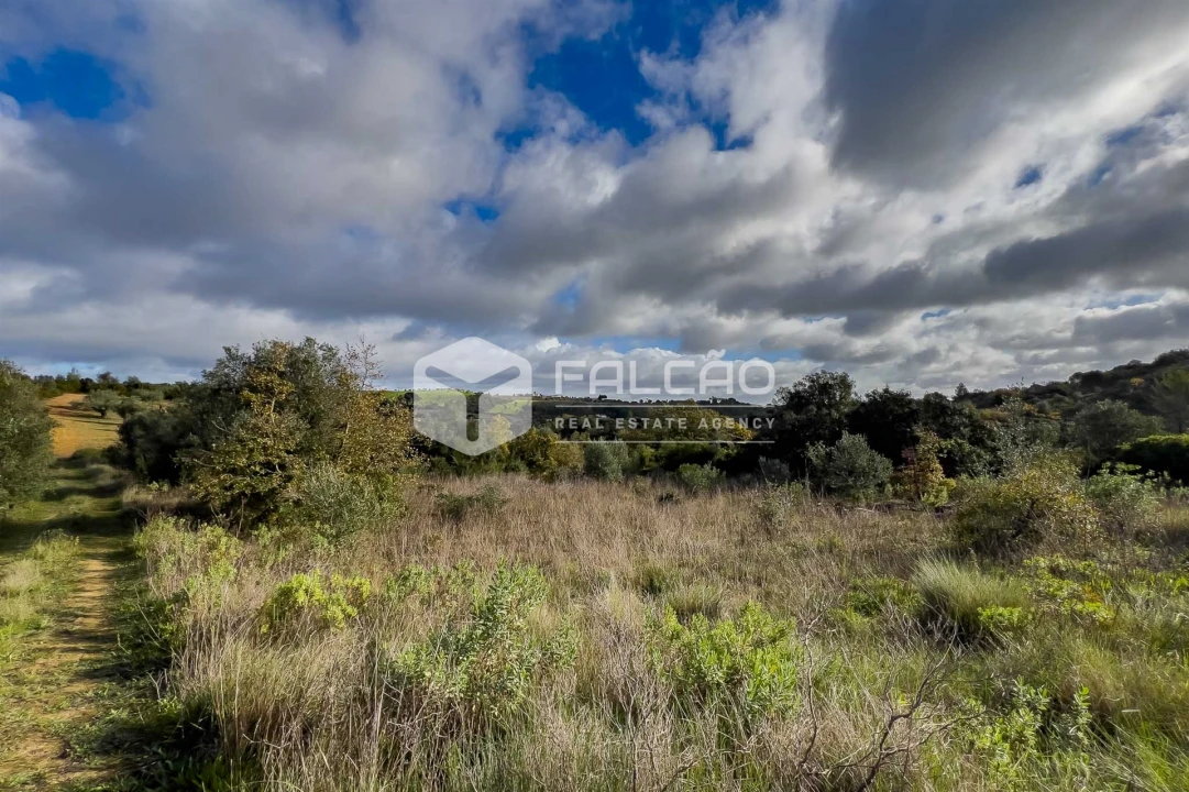 Terreno Misto para Venda em Azoia de Cima e Tremês Foto 6
