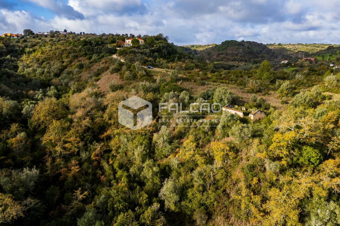 Terreno Misto para Venda em Azoia de Cima e Tremês Foto 21