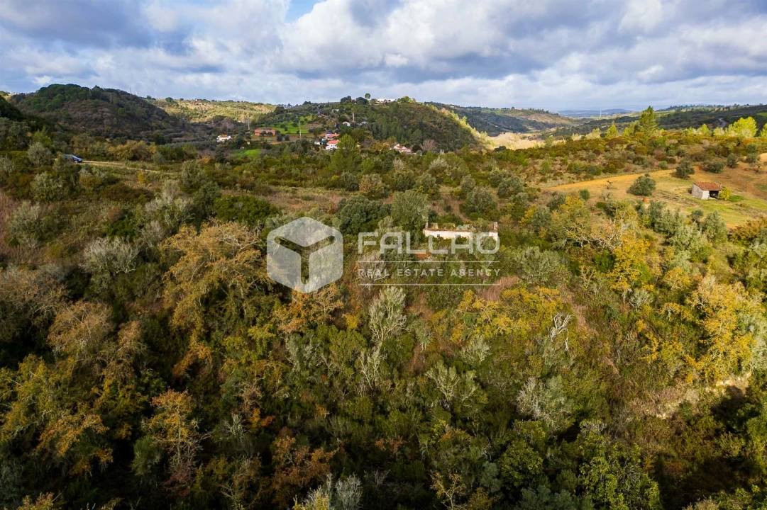 Terreno Misto para Venda em Azoia de Cima e Tremês Foto 22