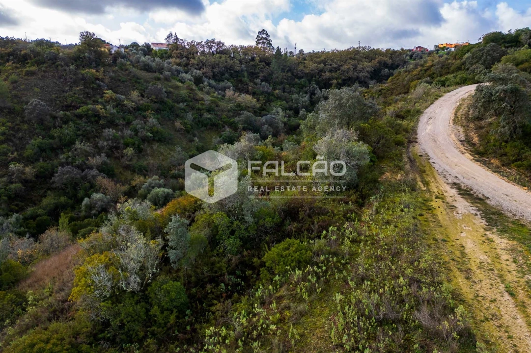 Terreno Misto para Venda em Azoia de Cima e Tremês Foto 26