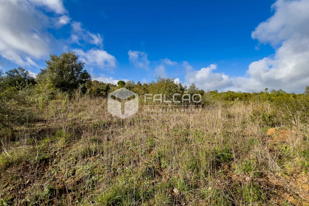 Terreno Misto para Venda em Azoia de Cima e Tremês Foto 10