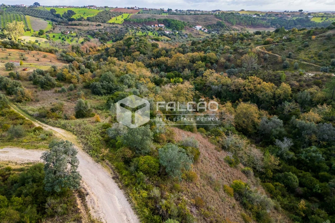 Terreno Misto para Venda em Azoia de Cima e Tremês Foto 28
