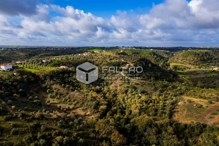 Terreno Misto para Venda em Azoia de Cima e Tremês Foto 16