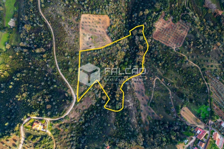 Terreno Misto para Venda em Azoia de Cima e Tremês Foto 3