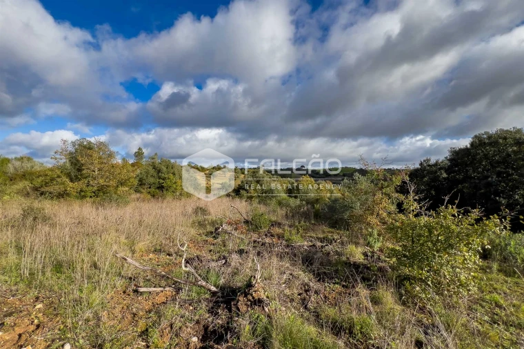 Terreno Misto para Venda em Azoia de Cima e Tremês Foto 7
