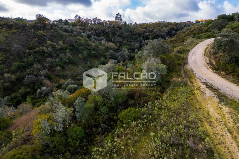 Terreno Misto para Venda em Azoia de Cima e Tremês Foto 26