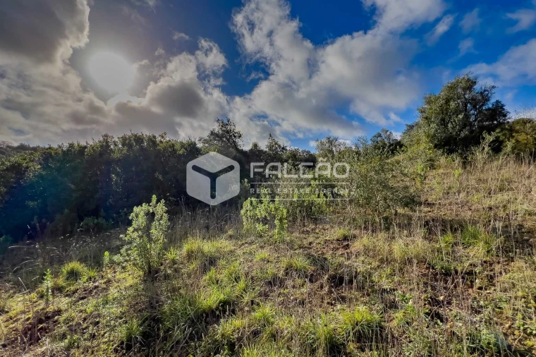 Terreno Misto para Venda em Azoia de Cima e Tremês Foto 9