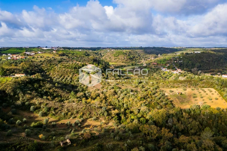 Terreno Misto para Venda em Azoia de Cima e Tremês Foto 15