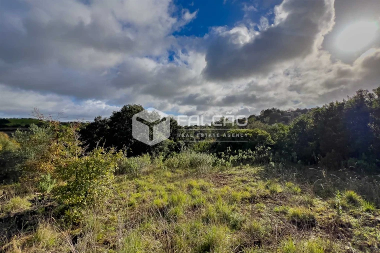 Terreno Misto para Venda em Azoia de Cima e Tremês Foto 8