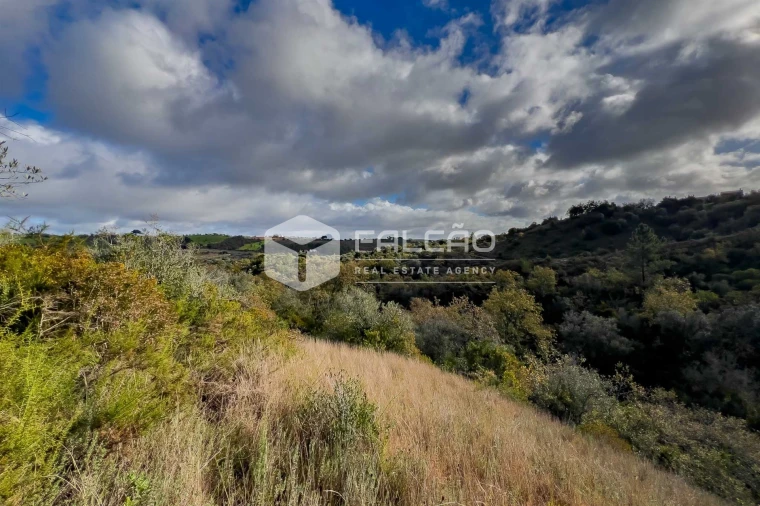 Terreno Misto para Venda em Azoia de Cima e Tremês Foto 4