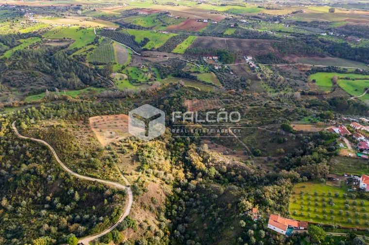 Terreno Misto para Venda em Azoia de Cima e Tremês Foto 2