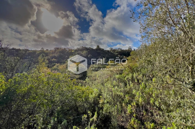 Terreno Misto para Venda em Azoia de Cima e Tremês Foto 11