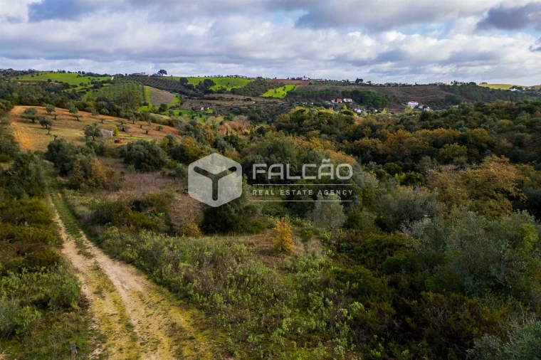 Terreno Misto para Venda em Azoia de Cima e Tremês Foto 25