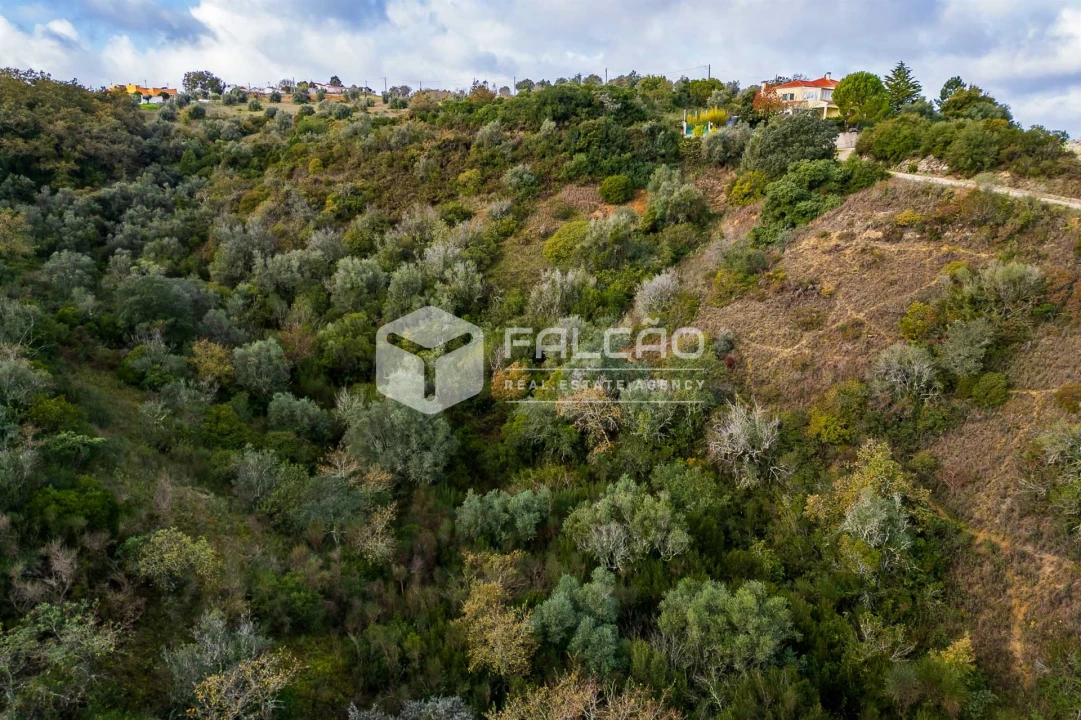 Terreno Misto para Venda em Azoia de Cima e Tremês Foto 27