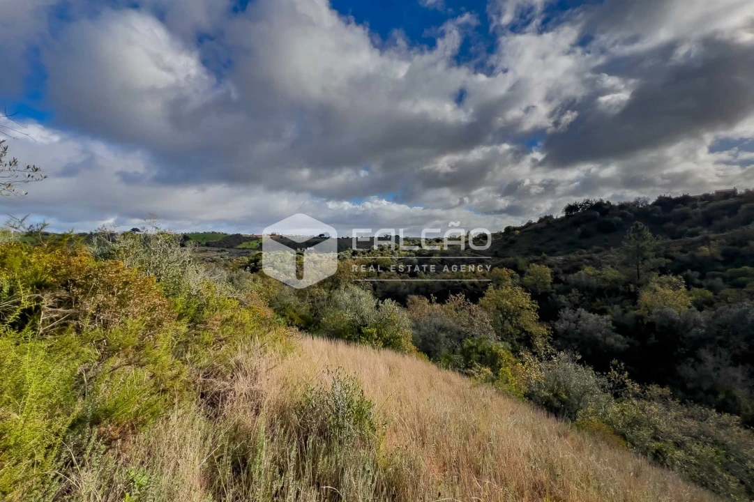 Terreno Misto para Venda em Azoia de Cima e Tremês Foto 4