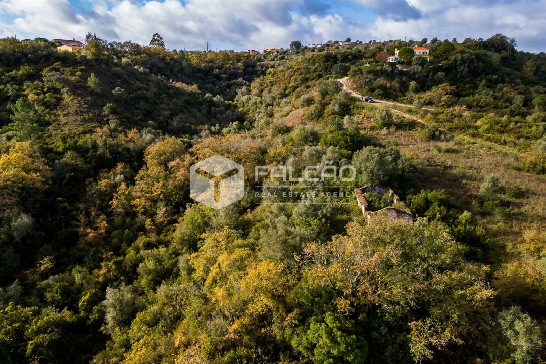 Terreno Misto para Venda em Azoia de Cima e Tremês Foto 20
