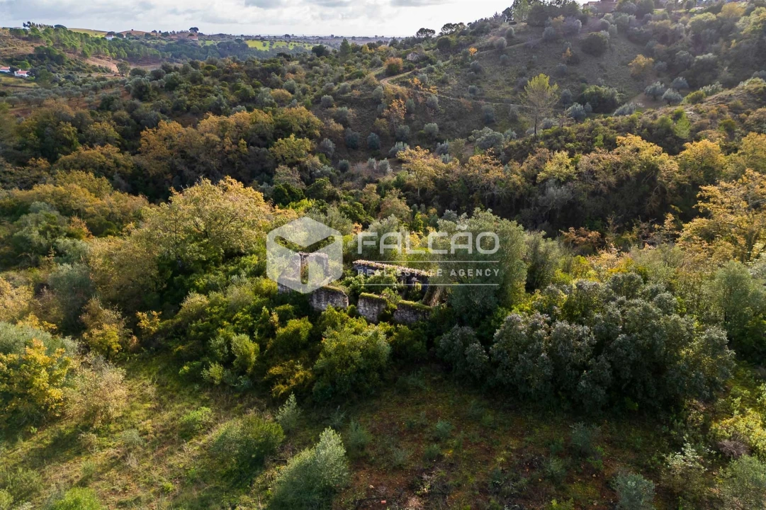 Terreno Misto para Venda em Azoia de Cima e Tremês Foto 18