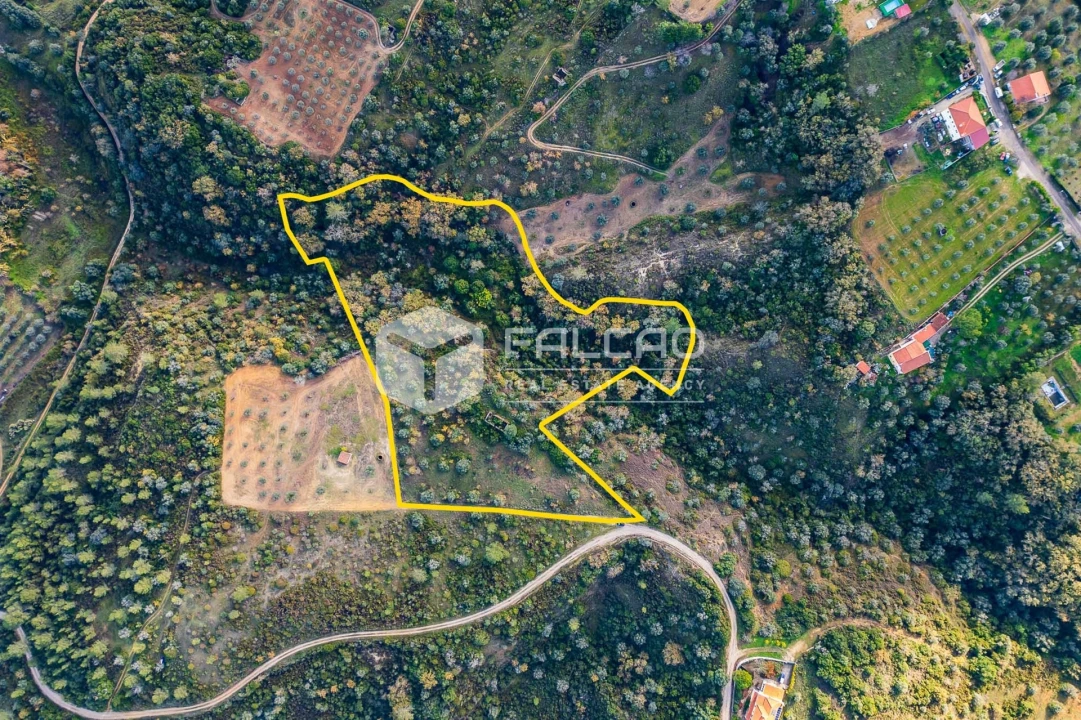 Terreno Misto para Venda em Azoia de Cima e Tremês Foto 1