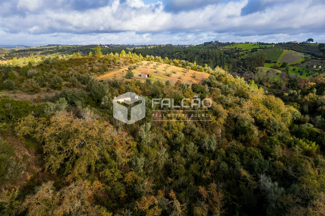Terreno Misto para Venda em Azoia de Cima e Tremês Foto 23