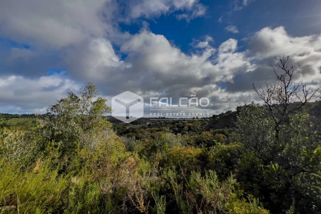 Terreno Misto para Venda em Azoia de Cima e Tremês Foto 12