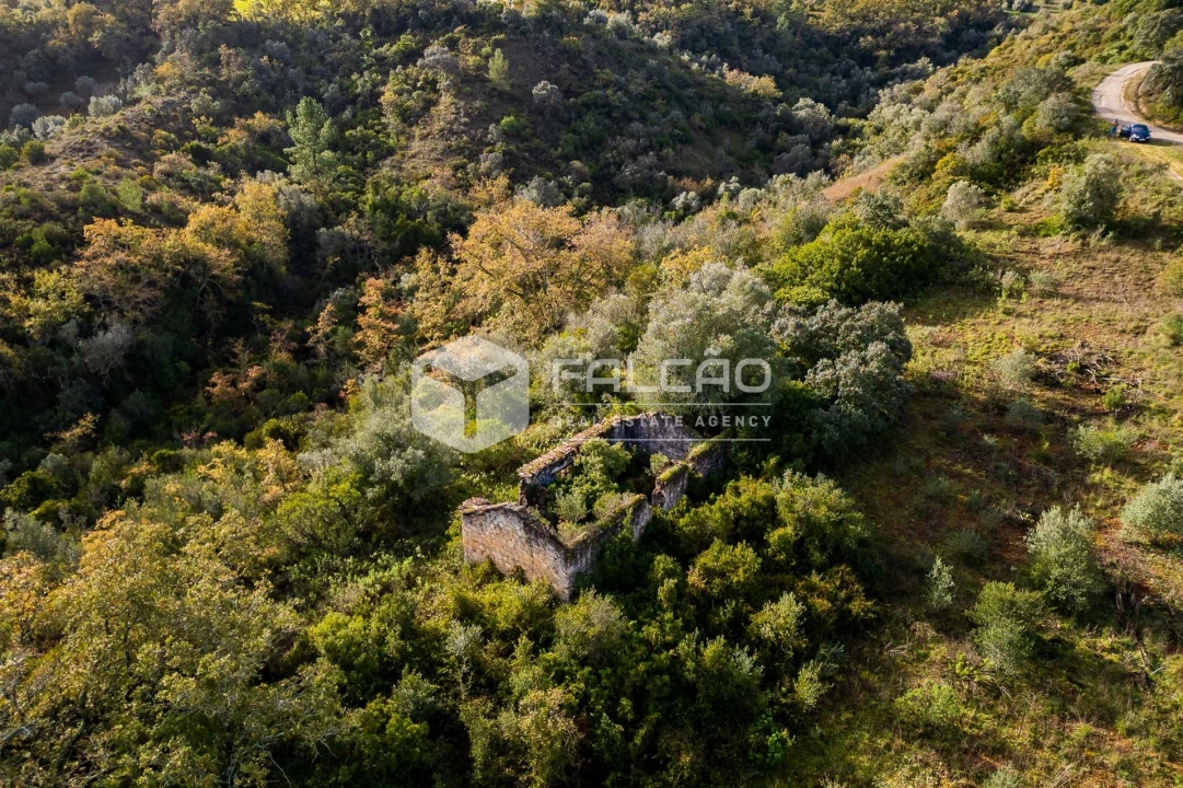 Terreno Misto para Venda em Azoia de Cima e Tremês Foto 19