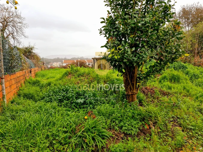 Moradia T3 para Venda em Vila de Cucujães Foto 25