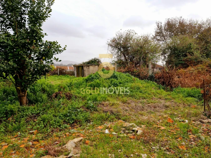 Moradia T3 para Venda em Vila de Cucujães Foto 26