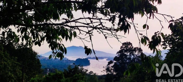 Moradia T3 para Venda em Loivo