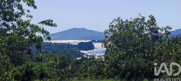Moradia T3 para Venda em Loivo