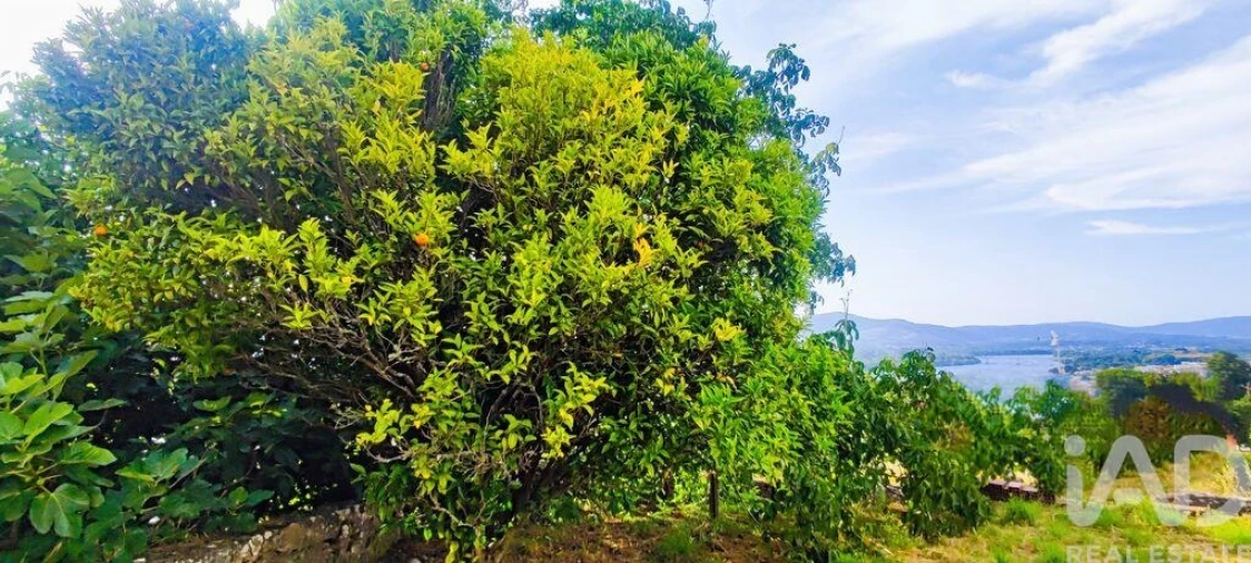 Moradia T3 para Venda em Loivo Foto 20